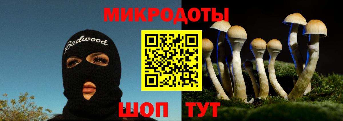 Псилоцибиновые грибы Psilocybine cubensis Сергиев Посад