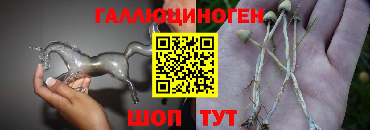 Псилоцибиновые грибы прущие грибы  Вход с VPN  где купить наркоту  Сергиев Посад 